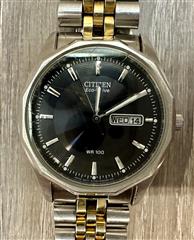 Citizen Eco-Drive WR 100 E101-S053412 Day/Date Men's Watch
